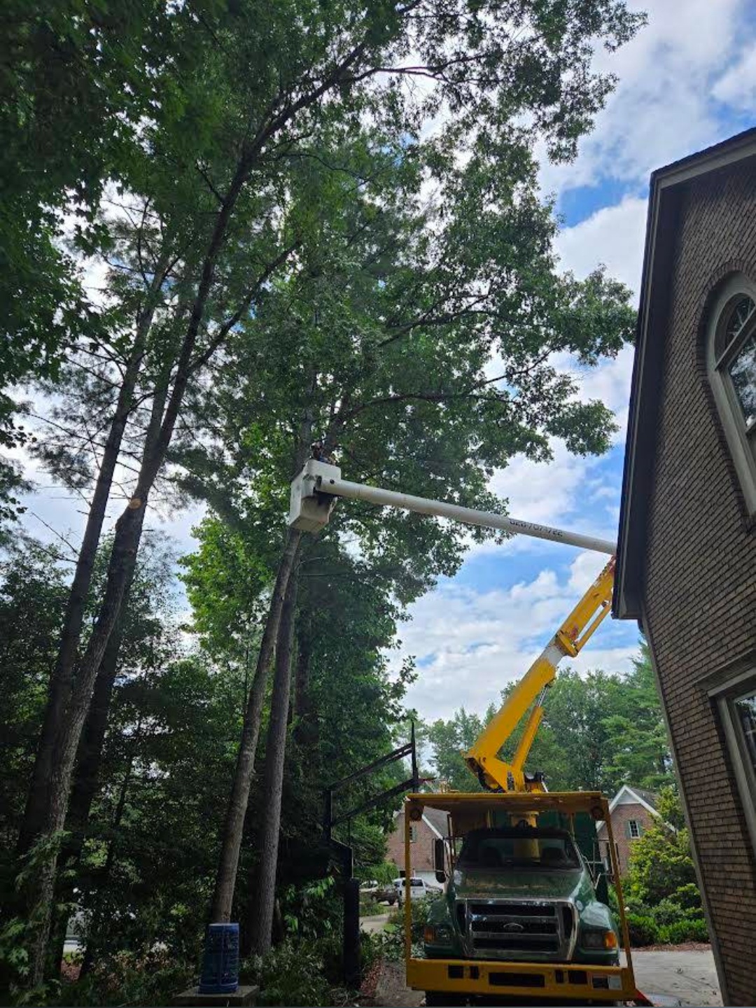 Bucket truck reaching over a brick home for tree removal in Asheville, NC